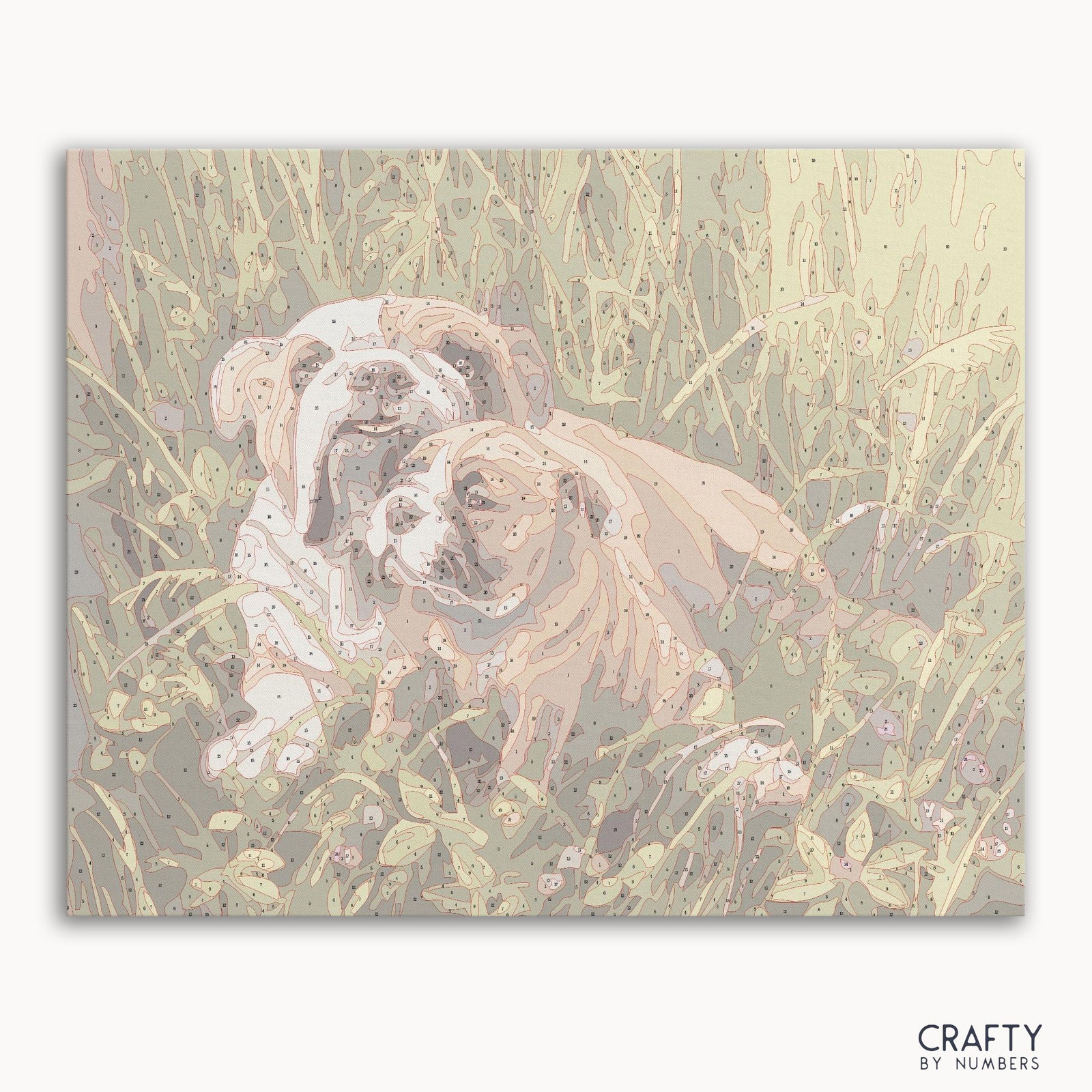 Bulldog with Puppy paint by numbers kit with canvas and paints