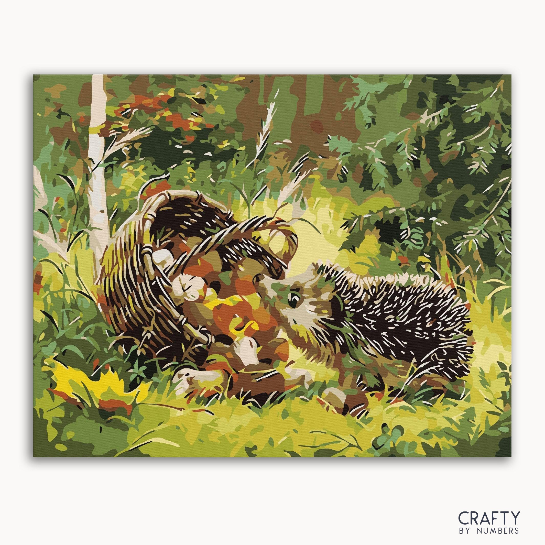 A paint-by-numbers kit depicting a hedgehog beside a basket in a forest setting, with a frame option shown.