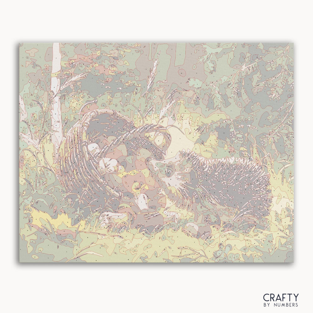 Curious Hedgehog paint by numbers kit with numbered canvas and paint pots