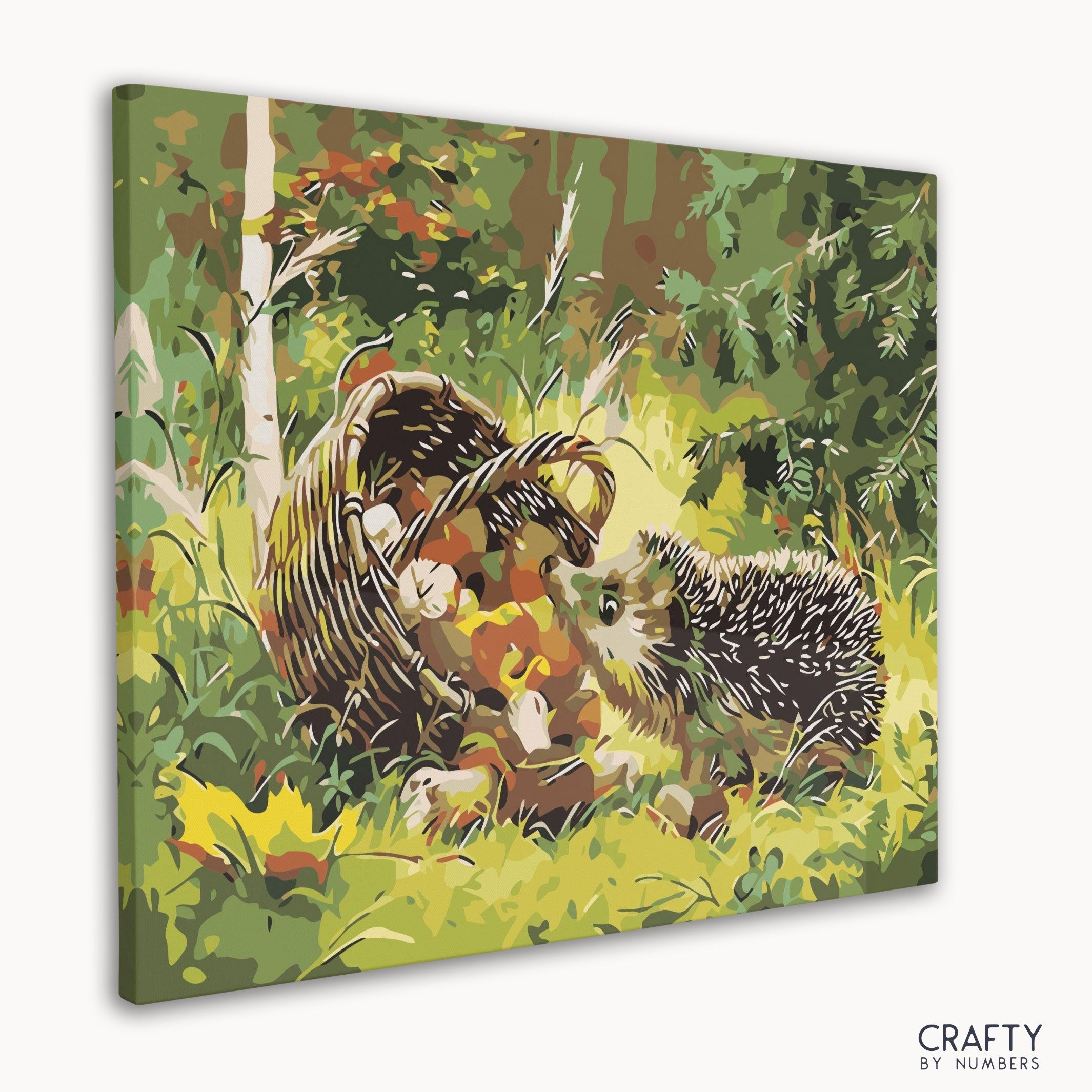Close-up of Curious Hedgehog paint by numbers canvas showing hedgehog details