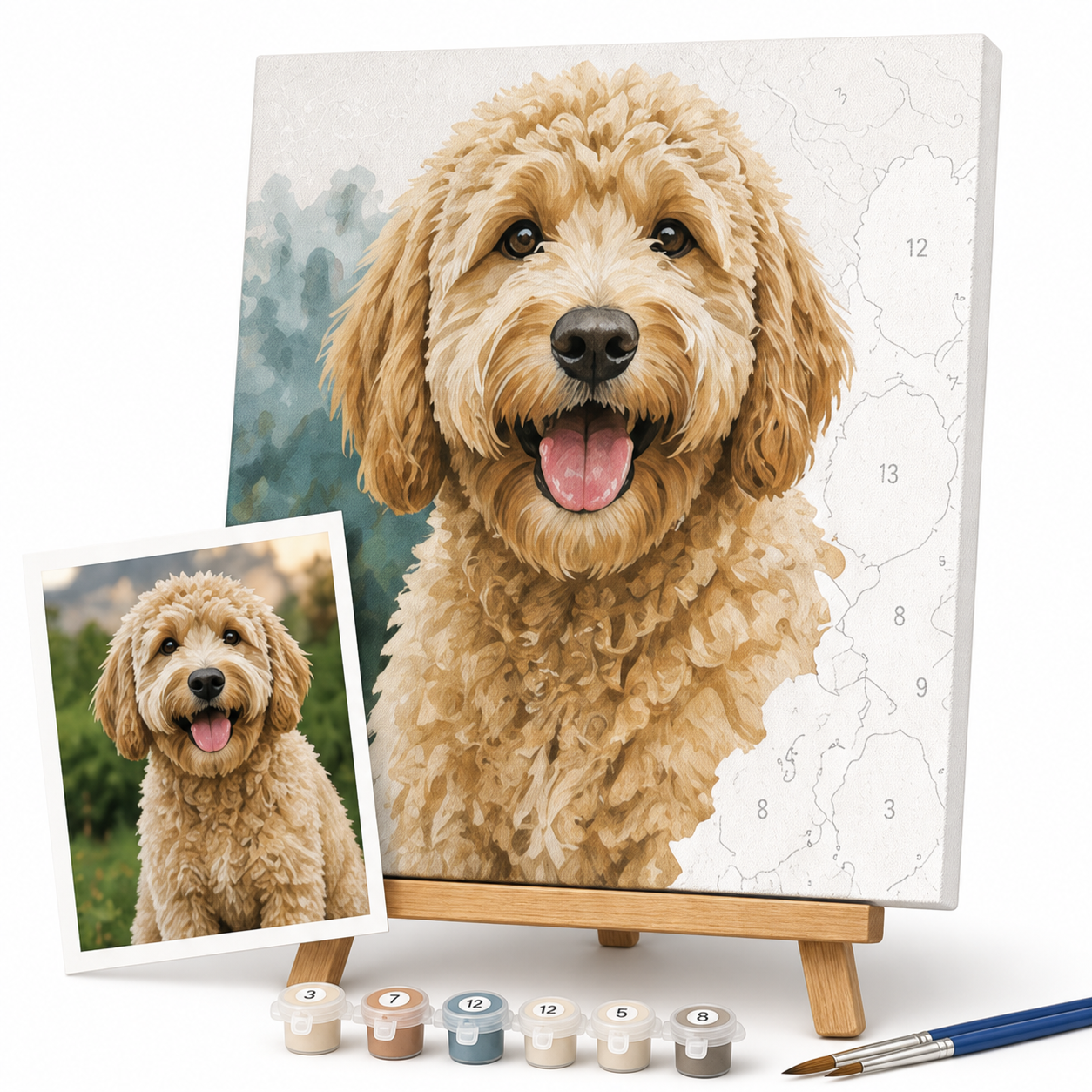 Custom Paint by Numbers Kit
