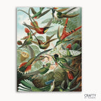 A paint-by-numbers kit featuring a vibrant illustration of various hummingbirds with Ernst Haeckel's signature style.