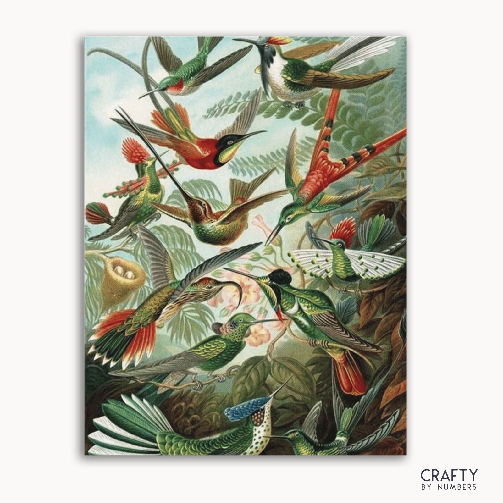 Un kit de pintura por números que presenta una vibrante ilustración de varios colibríes con el estilo característico de Ernst Haeckel.