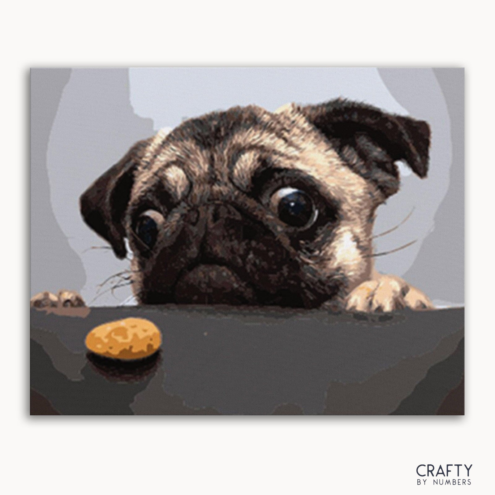 Hungry Pug paint by numbers kit finished artwork