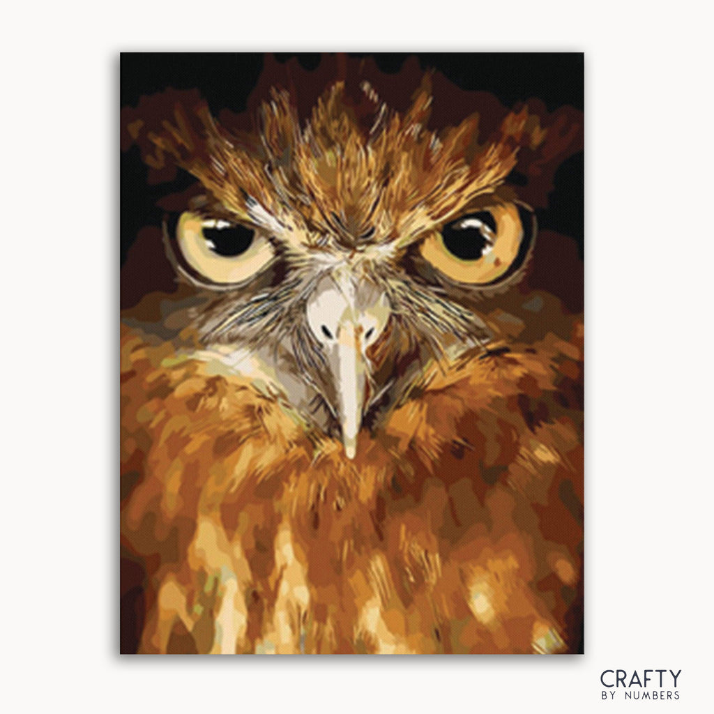 Kit de peinture par numéros Owl Eyes, œuvre d'art finie