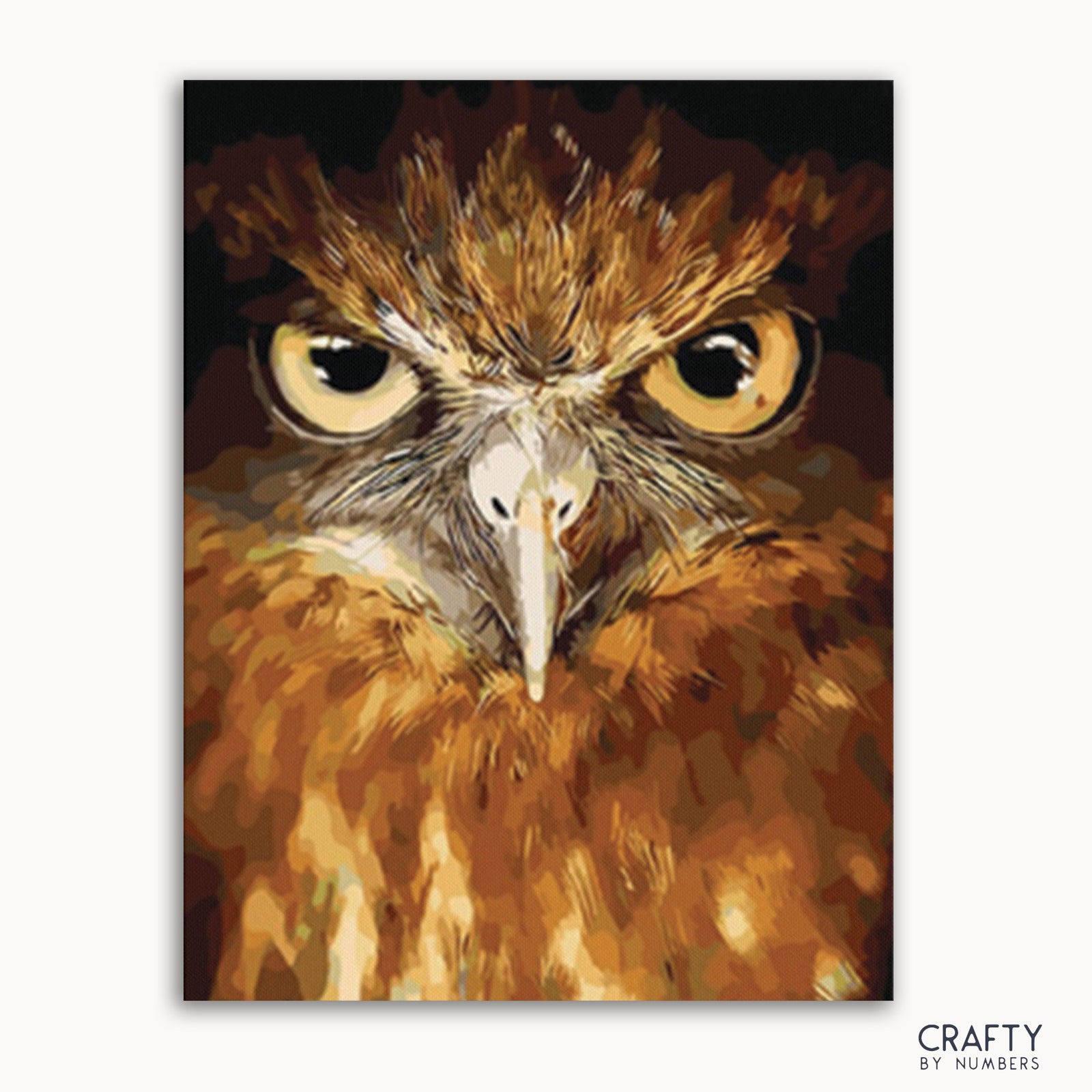 Owl Eyes paint by numbers kit finished artwork