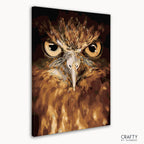 Owl Eyes