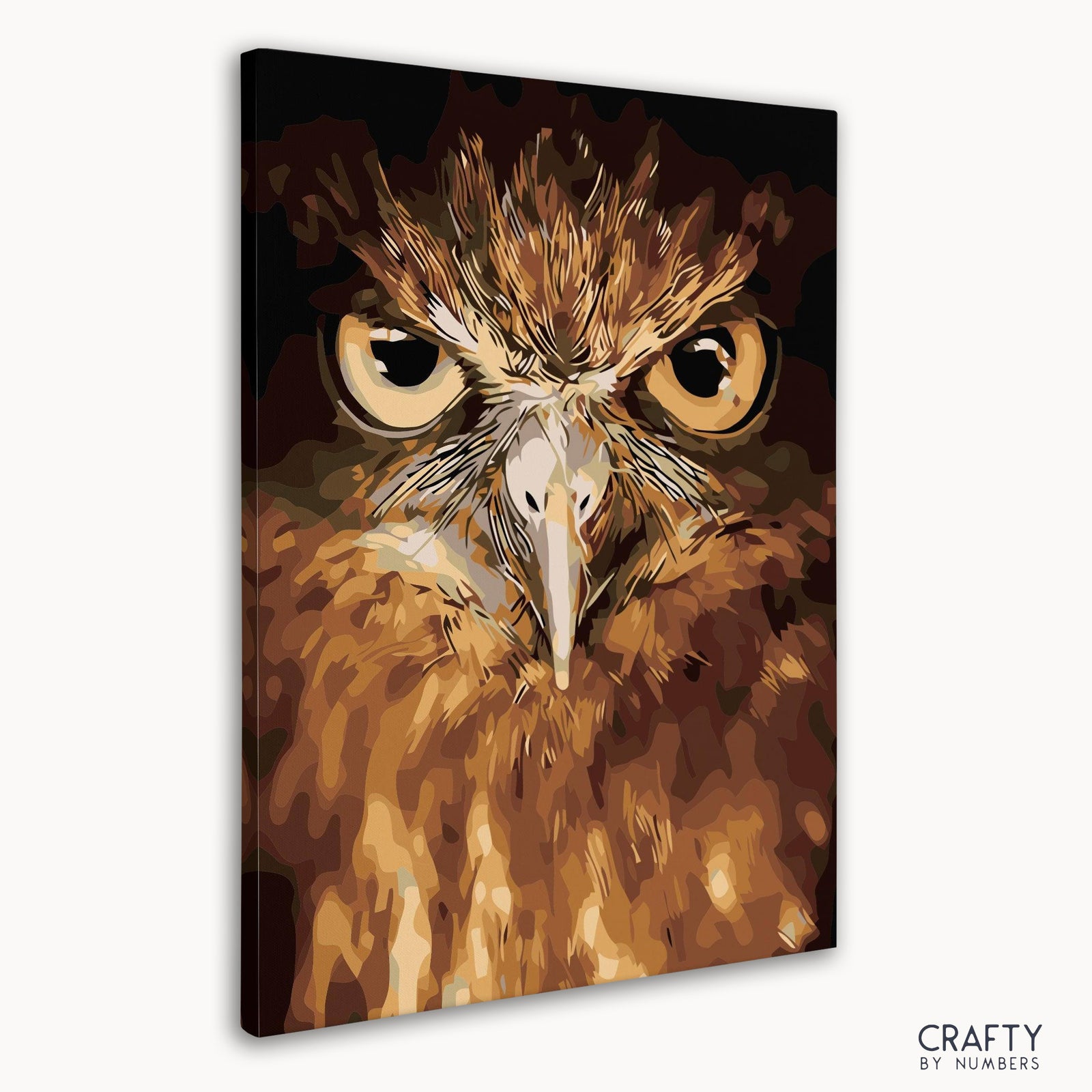 Numbered canvas preview for the Owl Eyes design