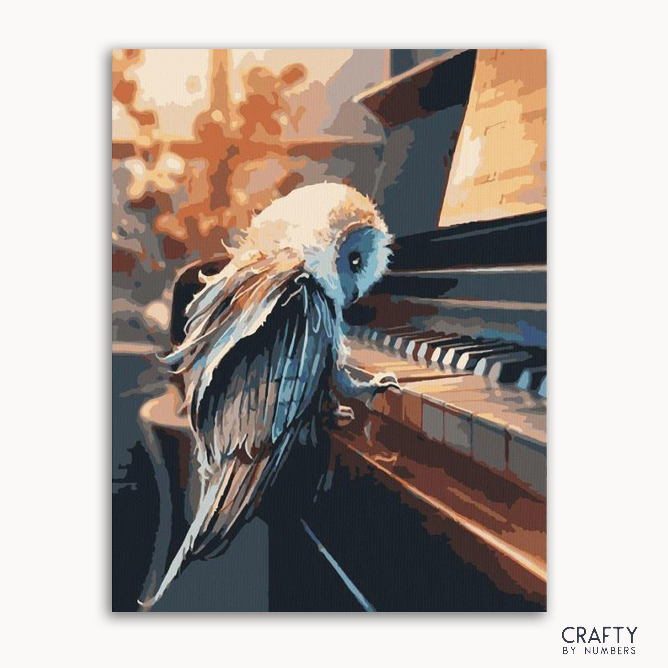 A paint-by-numbers kit image featuring an owl sitting on a piano keys, with numbers indicating where to apply paint on the canvas.