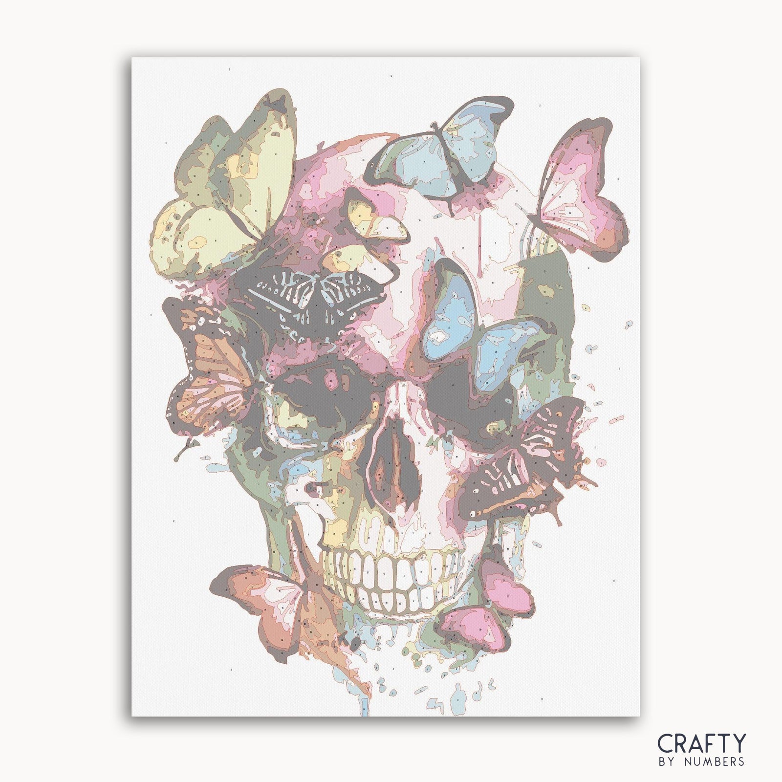 Colorful Butterflies paint by numbers kit with canvas and paints