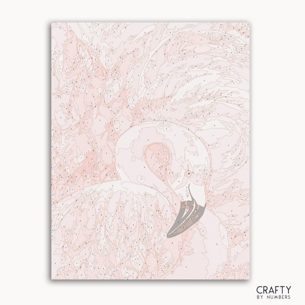 Pink Crane Bird