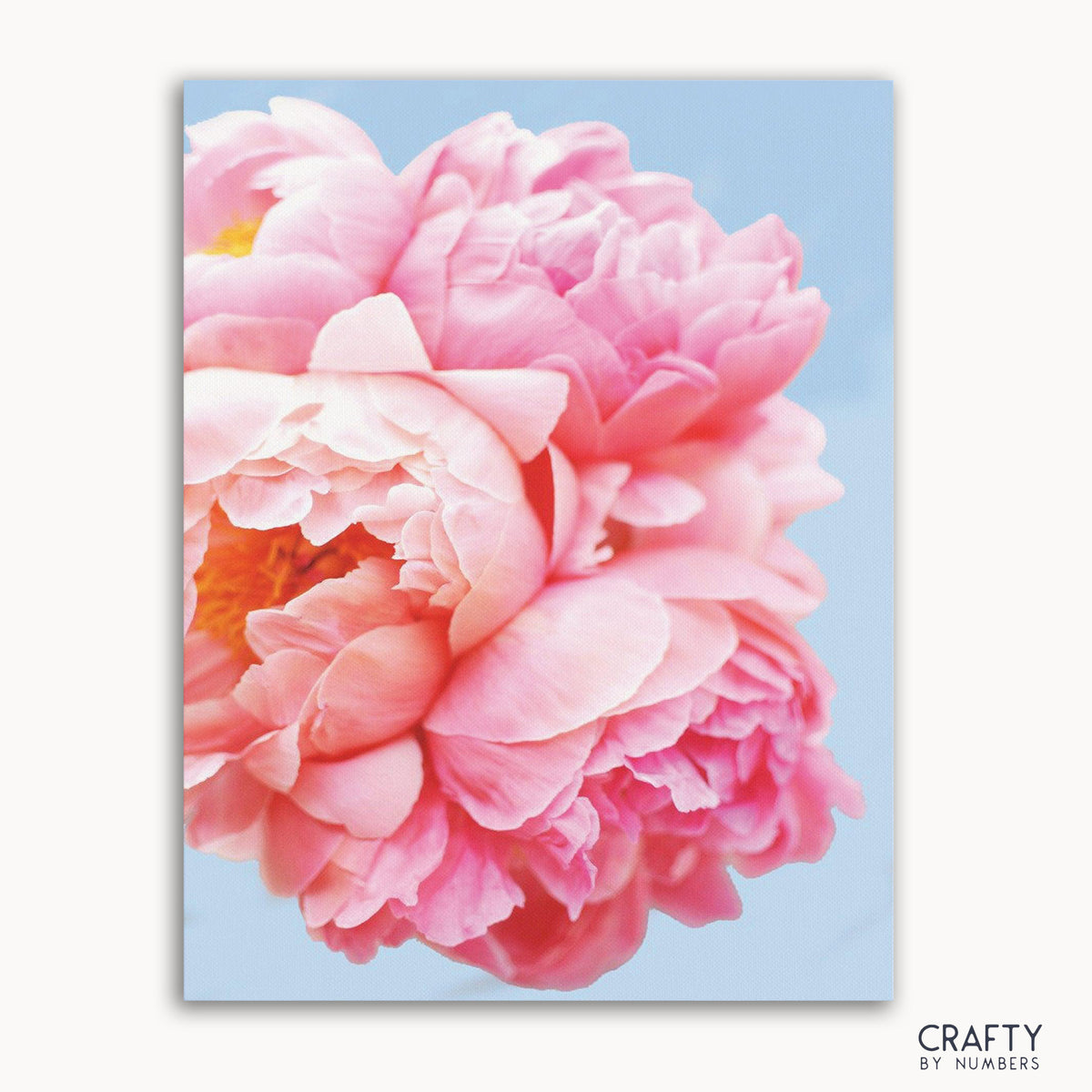A close-up image of a Paint by Numbers kit with a pink floral design.