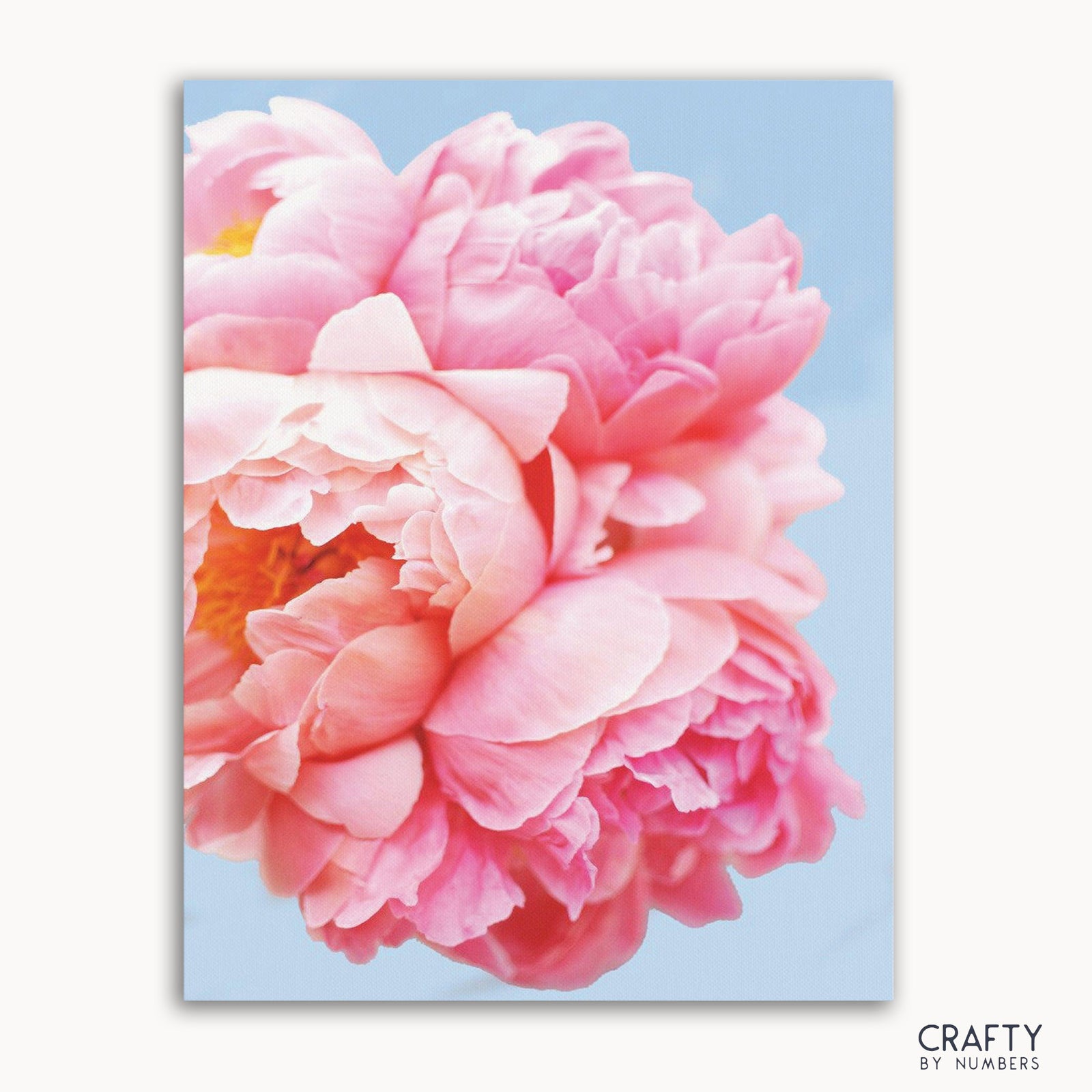Eine Nahaufnahme eines Malen-nach-Zahlen-Sets mit rosa Blumenmuster.