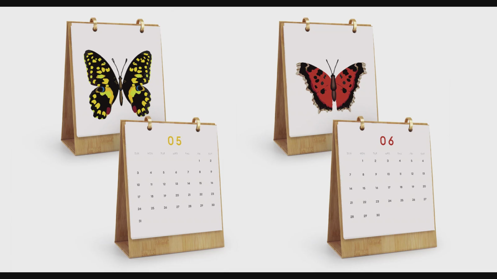 Complete DIY butterfly art project with Butterfly Days canvas and acrylic paints included.