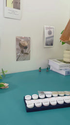 Houseplant Haven DIY paint by numbers kit with indoor plants illustration for relaxing botanical art at home.