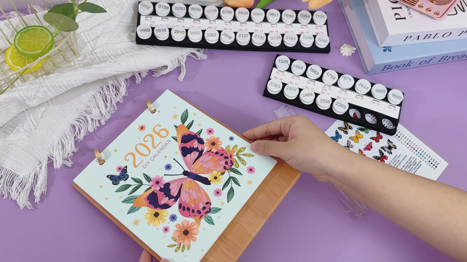 Adult craft kit for painting butterflies using Butterfly Days paint by numbers set.
