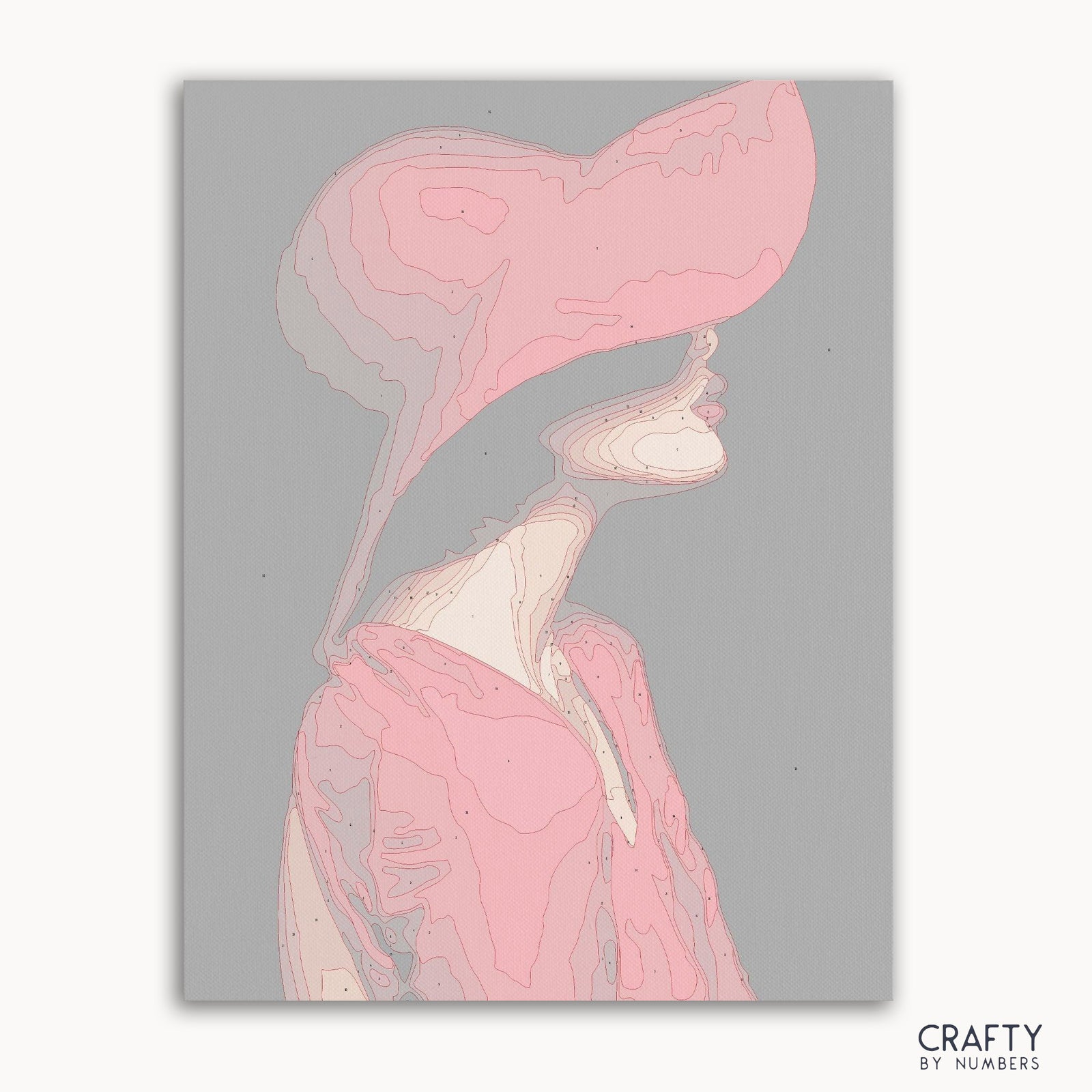 Red Hat Lady paint by numbers kit with canvas and paints