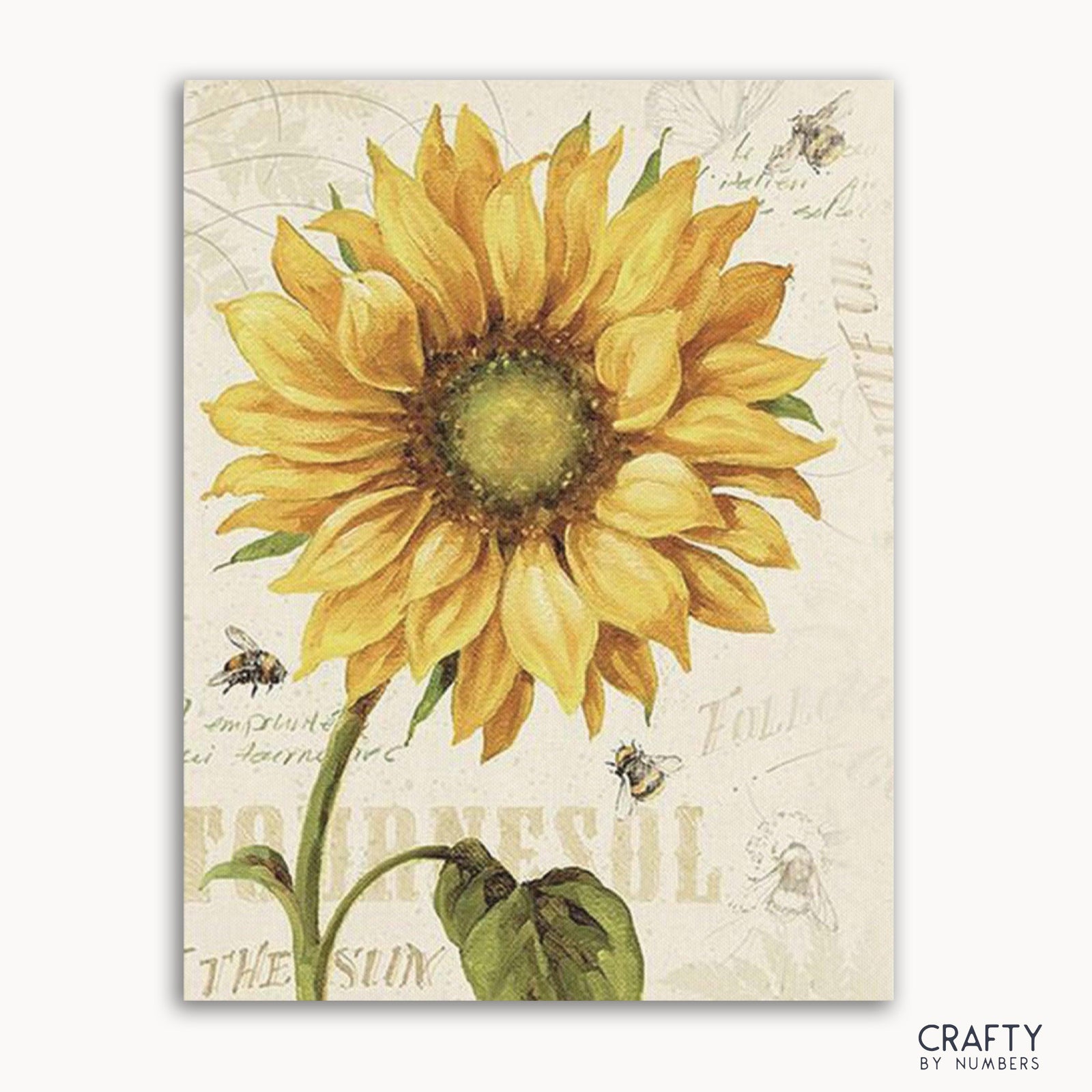 Imagen de un kit de pintura por números que muestra un girasol con abejas y el texto "CRAFTY by number" visible.