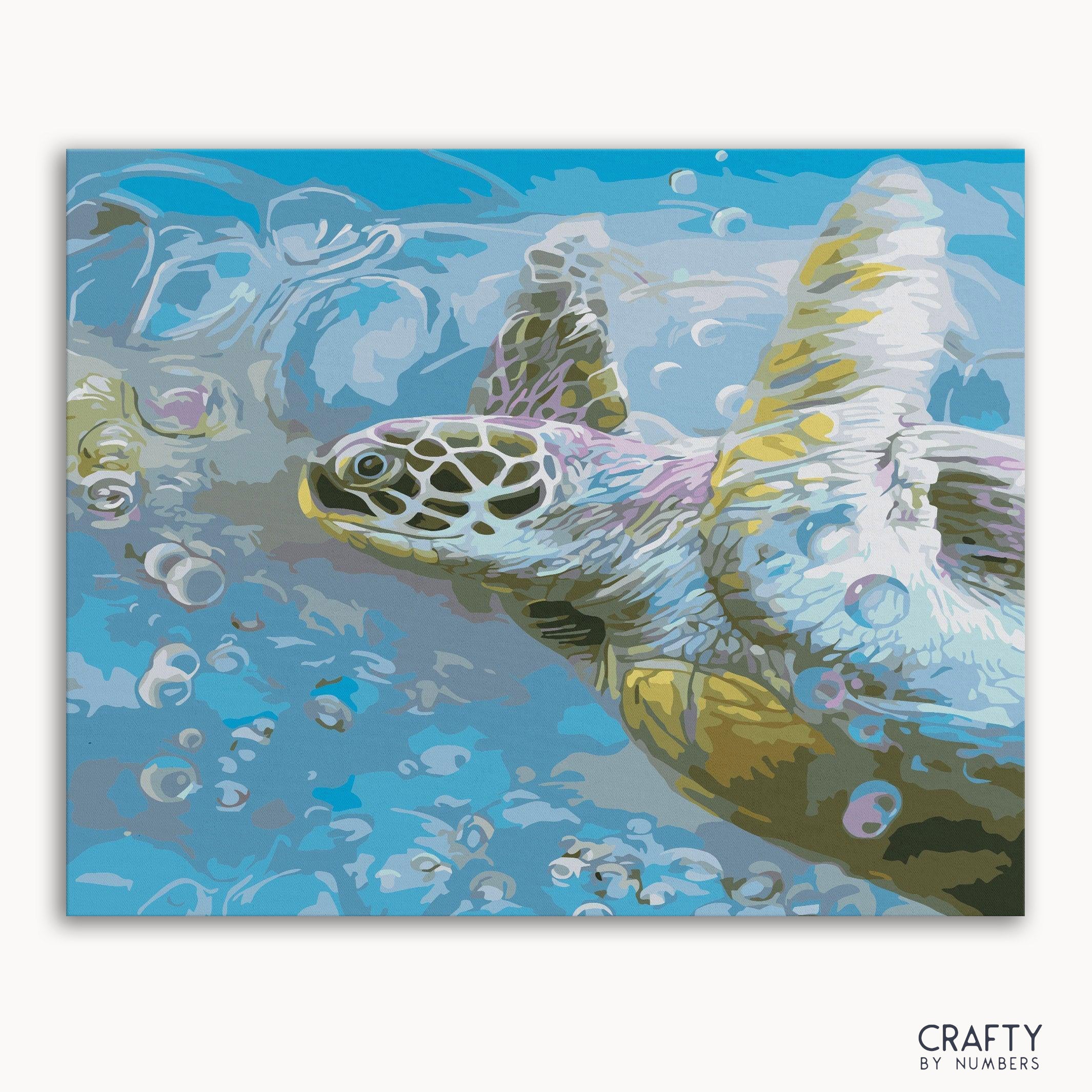 A paint-by-numbers kit image featuring a turtle in a body of water with bubbles.