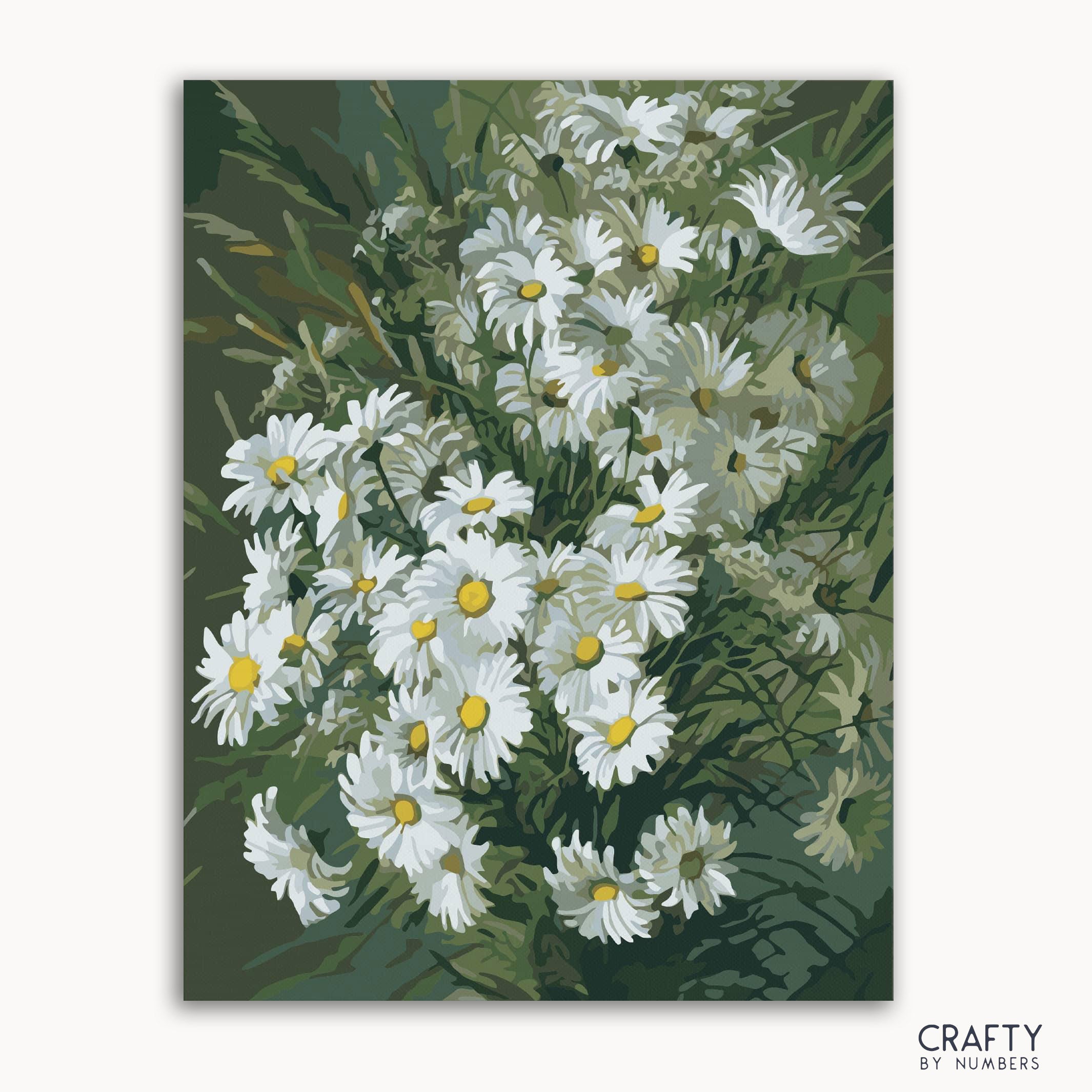 A paint-by-numbers kit image featuring a bouquet of white daisies with yellow centers, green leaves, and a gray background.