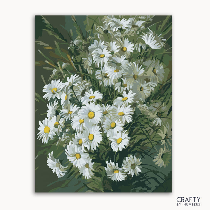 A paint-by-numbers kit image featuring a bouquet of white daisies with yellow centers, green leaves, and a gray background.