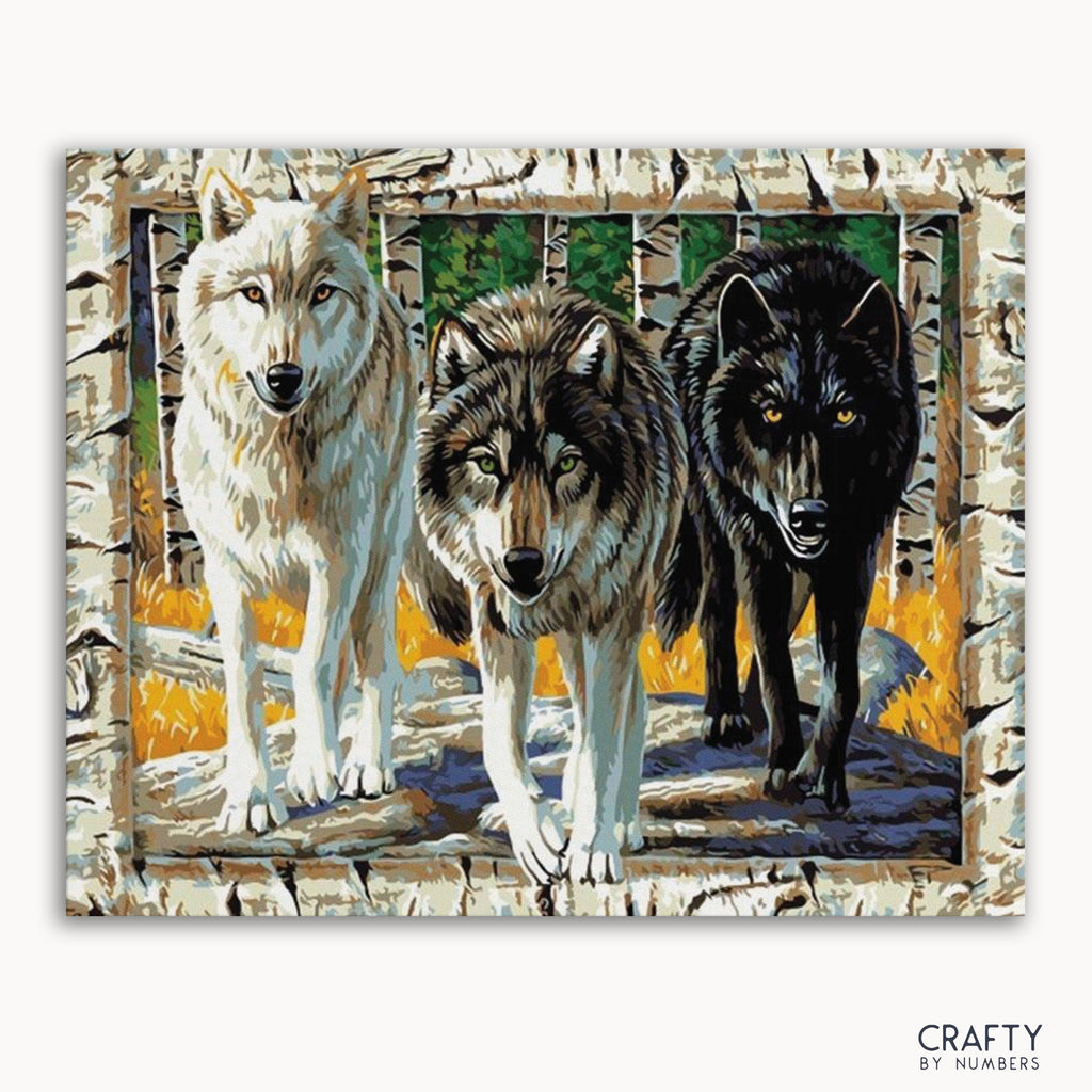 A paint by numbers kit featuring a picture of three wolves in a forest setting.