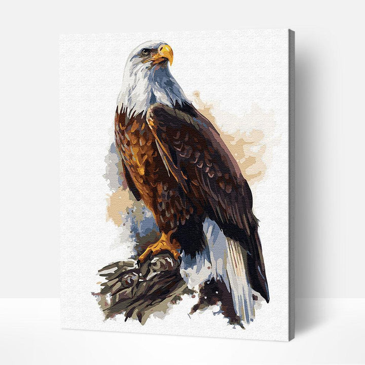 Bald Eagle, Paint by Numbers, Crafty by Numbers