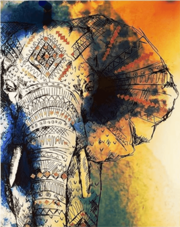 African Elephant paint by numbers canvas and color guide