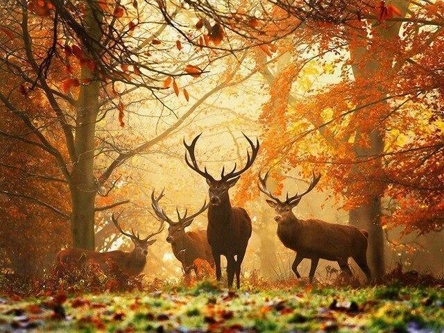 Tiere im Herbstwald – Basteln nach Zahlen – Malen nach Zahlen – Malen nach Zahlen für Erwachsene – Gemälde – Leinwand – individuelles Malen nach Zahlen