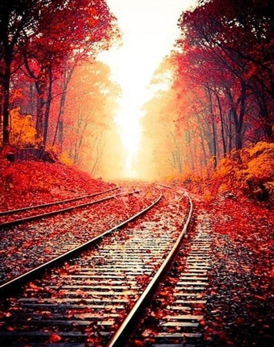 Herbsteisenbahn – Crafty By Numbers – Malen nach Zahlen – Malen nach Zahlen für Erwachsene – Gemälde – Leinwand – individuelles Malen nach Zahlen