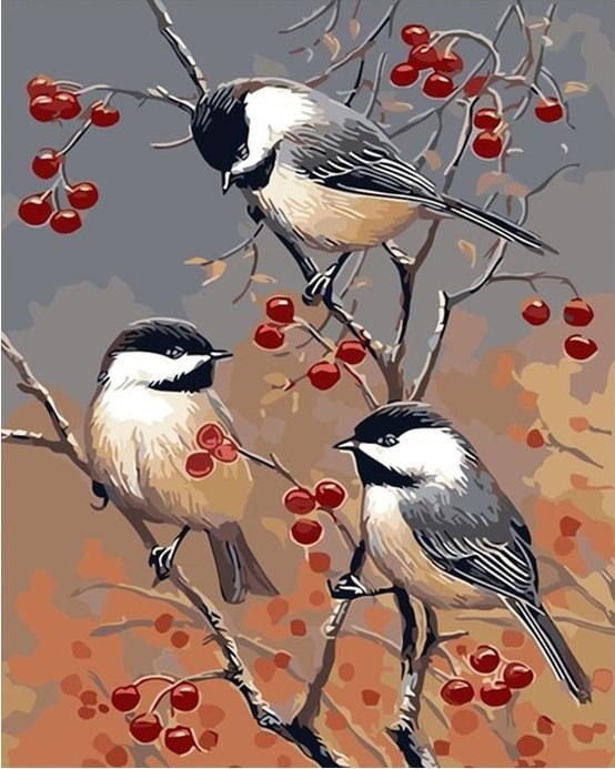 Oiseaux et fruits rouges - Crafty By Numbers - Peinture par numéros - Peinture par numéros pour adultes - Peinture - Toile - Peinture personnalisée par numéros