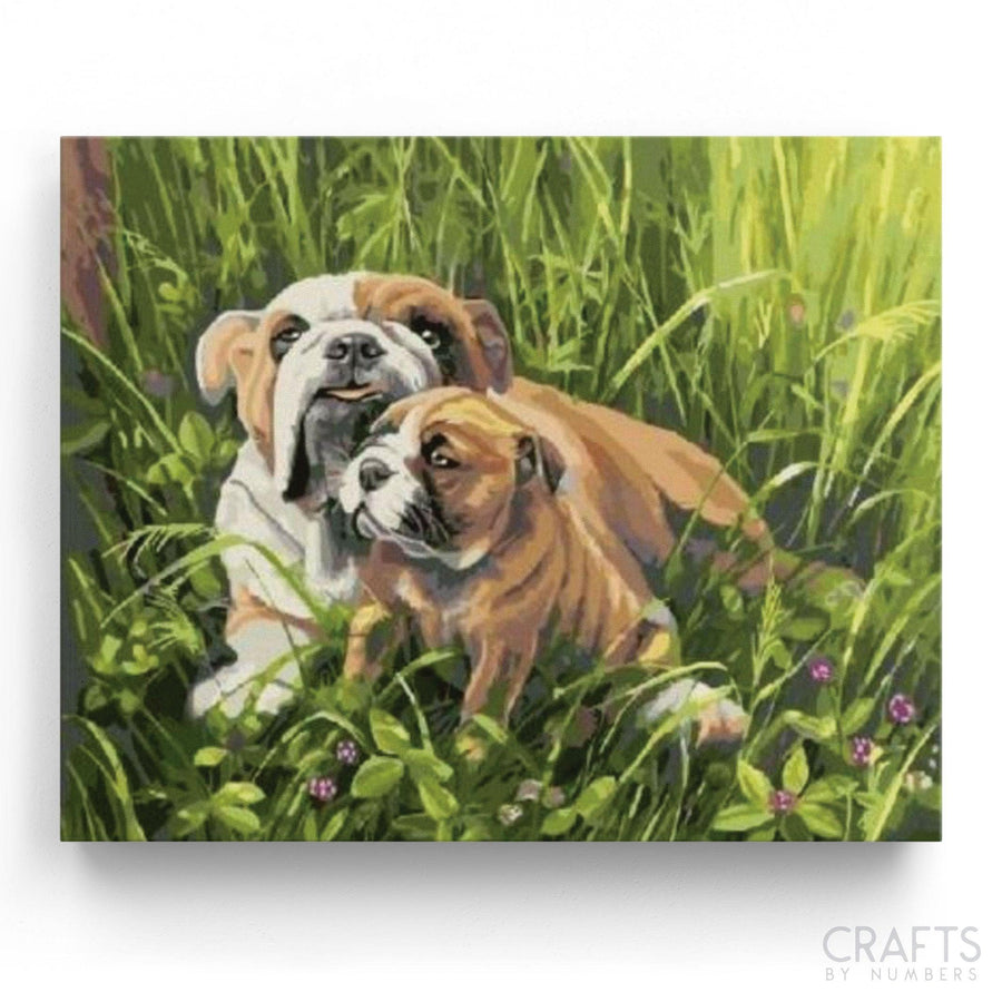 Bulldog with Puppy - Crafty By Numbers - Paint by Numbers - Paint by Numbers for Adults - Painting - Canvas - Custom Paint by Numbers