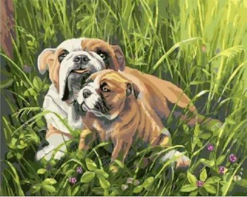 Bulldog with Puppy numbered canvas before painting