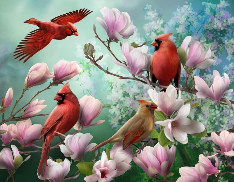 Four Beautiful Birds numbered canvas ready for painting