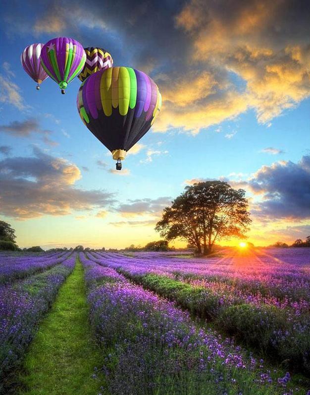 Hot Air Balloon Sunset - Crafty By Numbers - Paint by Numbers - Paint by Numbers for Adults - Painting - Canvas - Custom Paint by Numbers