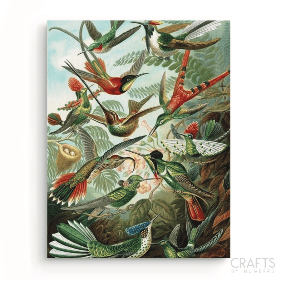 Hummingbirds - Ernst Haeckel - Crafty By Numbers - Paint by Numbers - Paint by Numbers for Adults - Painting - Canvas - Custom Paint by Numbers