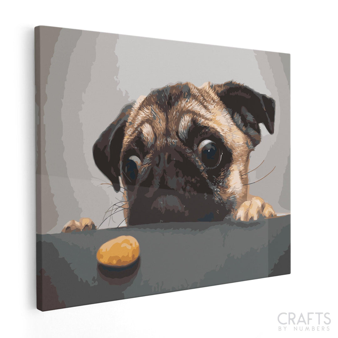 Hungry Pug - Crafty By Numbers - Paint by Numbers - Paint by Numbers for Adults - Painting - Canvas - Custom Paint by Numbers