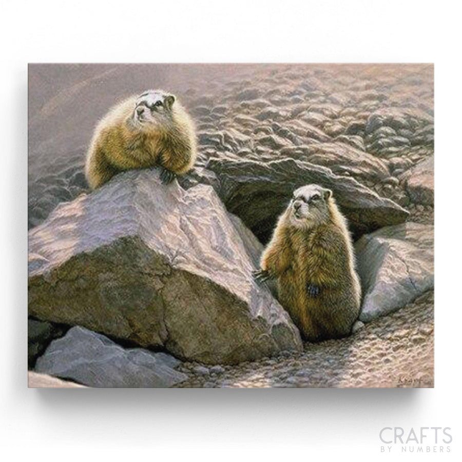 Marmot Kids Diy Adult - Crafty By Numbers - Paint by Numbers - Paint by Numbers for Adults - Painting - Canvas - Custom Paint by Numbers
