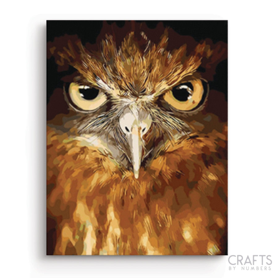 Owl Eyes - Crafty By Numbers - Paint by Numbers - Paint by Numbers for Adults - Painting - Canvas - Custom Paint by Numbers