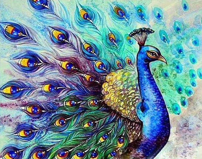 Pavo Real – Crafty By Numbers – Malen nach Zahlen – Malen nach Zahlen für Erwachsene – Gemälde – Leinwand – individuelles Malen nach Zahlen