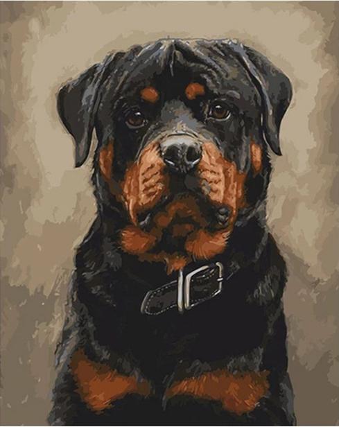 Rottweiler Dog numbered canvas before painting