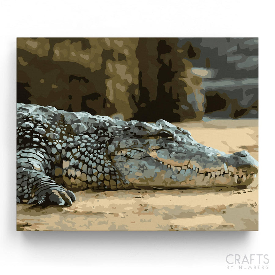 Sleepy Alligator - Crafty By Numbers - Paint by Numbers - Paint by Numbers for Adults - Painting - Canvas - Custom Paint by Numbers