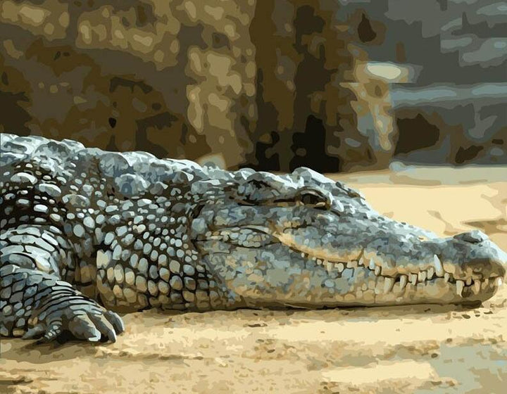 Sleepy Alligator - Crafty By Numbers - Paint by Numbers - Paint by Numbers for Adults - Painting - Canvas - Custom Paint by Numbers