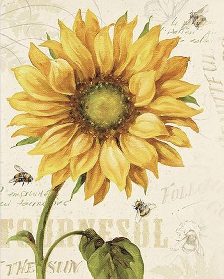 Girasol y abeja de miel - Crafty By Numbers - Pintura por números - Pintura por números para adultos - Pintura - Lienzo - Pintura personalizada por números
