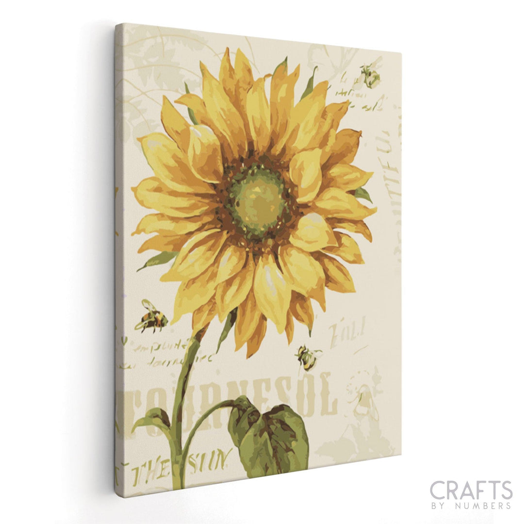 Sunflower & Honey Bee - Crafty By Numbers - Paint by Numbers - Paint by Numbers for Adults - Painting - Canvas - Custom Paint by Numbers