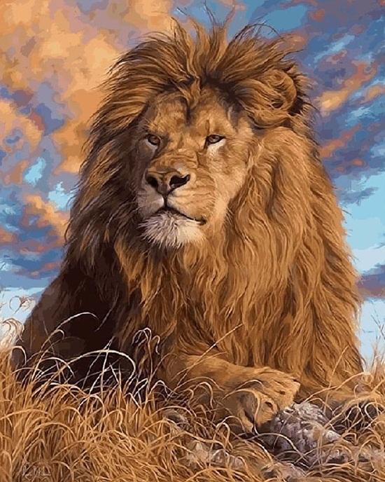 The King Lion Art – Crafty By Numbers – Malen nach Zahlen – Malen nach Zahlen für Erwachsene – Gemälde – Leinwand – individuelles Malen nach Zahlen