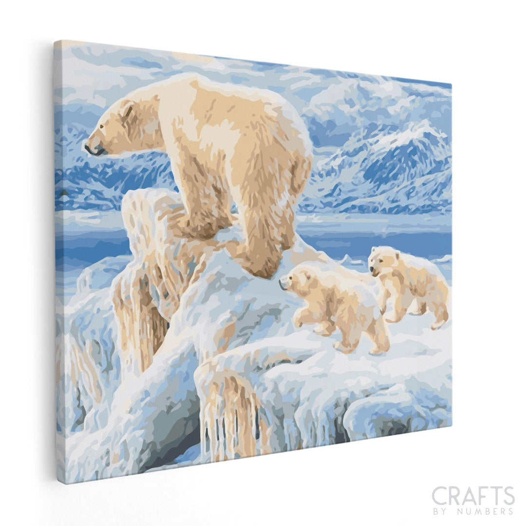 White Polar Ice Cap - Crafty By Numbers - Paint by Numbers - Paint by Numbers for Adults - Painting - Canvas - Custom Paint by Numbers