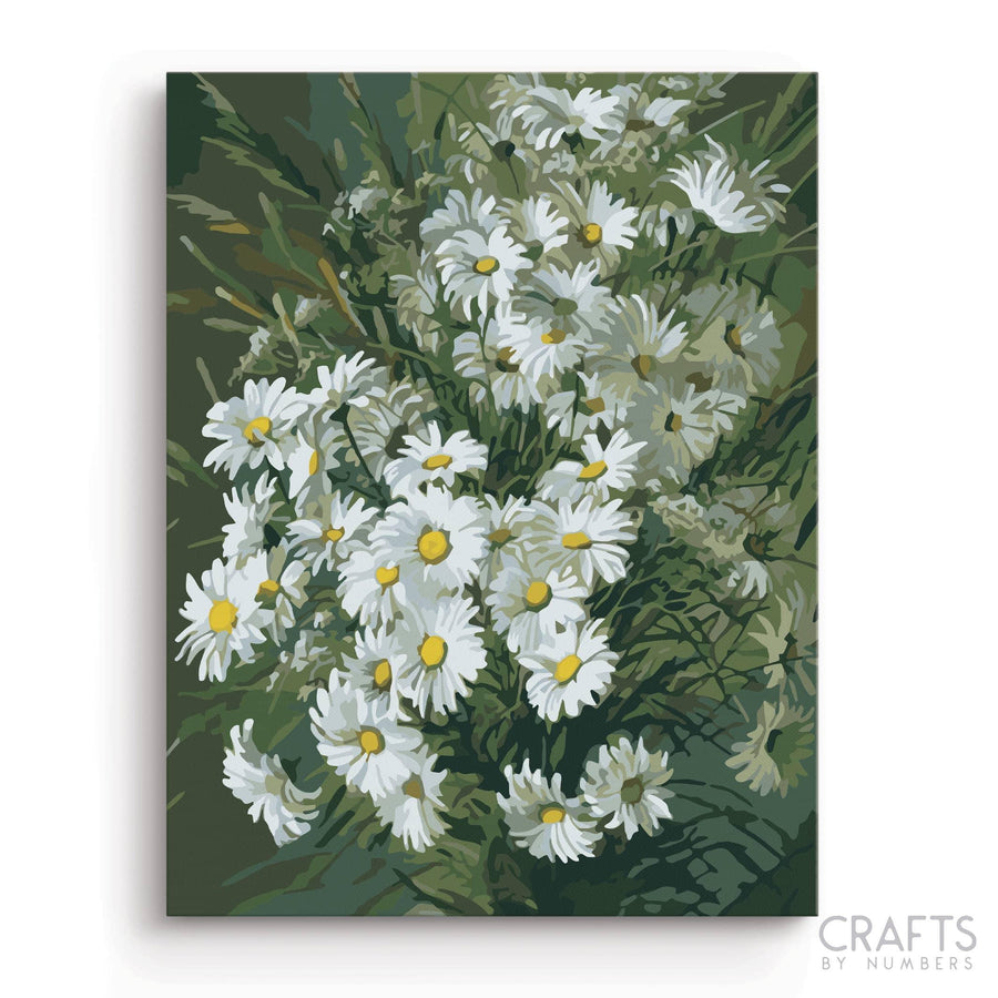 White Roses Daisies - Crafty By Numbers - Paint by Numbers - Paint by Numbers for Adults - Painting - Canvas - Custom Paint by Numbers