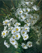 White Roses Daisies - Crafty By Numbers - Paint by Numbers - Paint by Numbers for Adults - Painting - Canvas - Custom Paint by Numbers